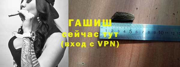 МДПВ Пересвет