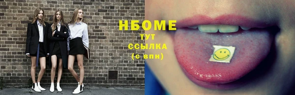 МДПВ Пересвет