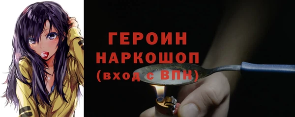 МДПВ Пересвет