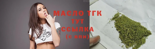 МДПВ Пересвет