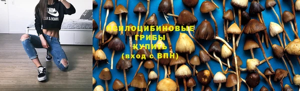 метадон Пестово