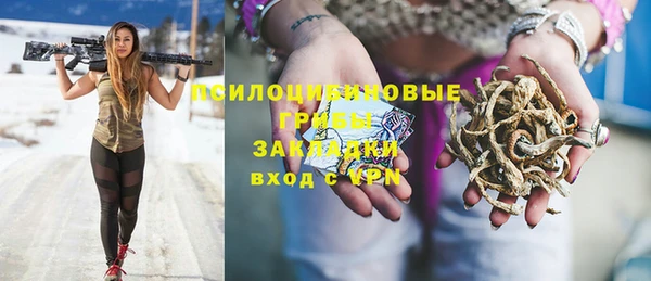 стафф Абинск